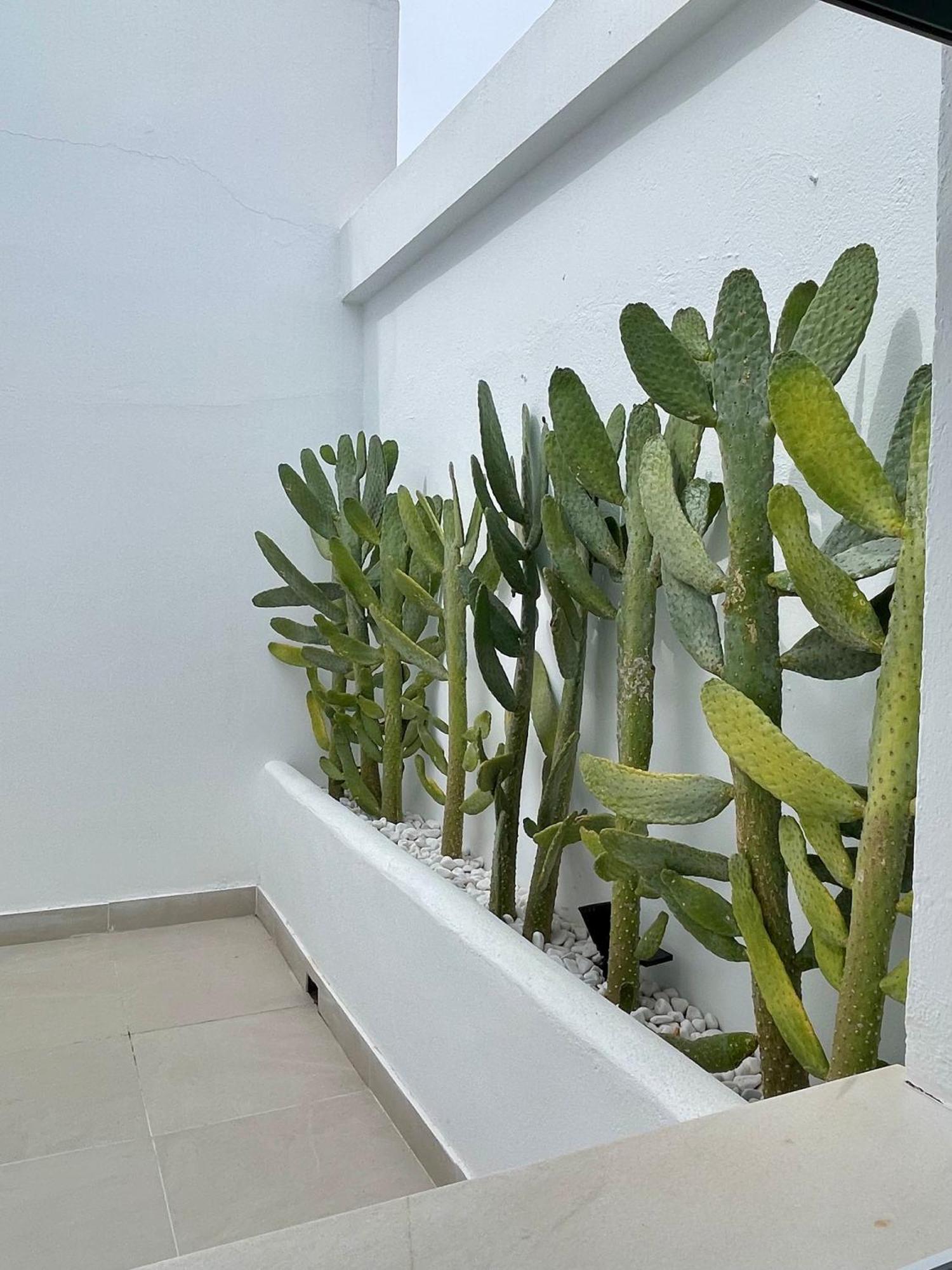 H Bellavista Mojacar Hotel Kültér fotó